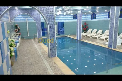 Maçon professionnel 
