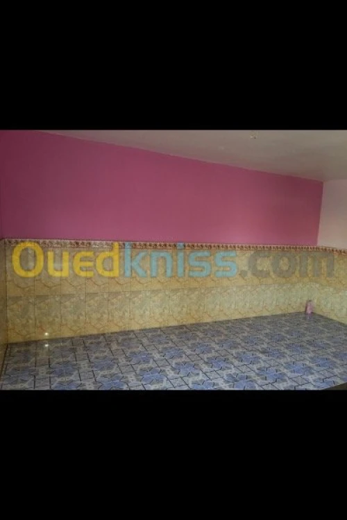 Maçon professionnel 