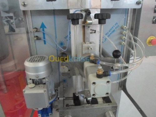 conditionneuse ensacheuse pour le lait