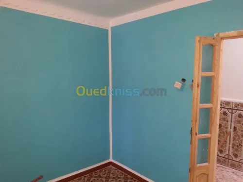 Peintre professionnel