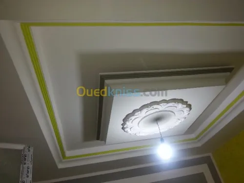 Peintre professionnel