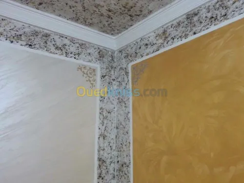 Peintre professionnel