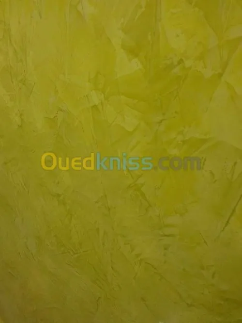 Peintre professionnel
