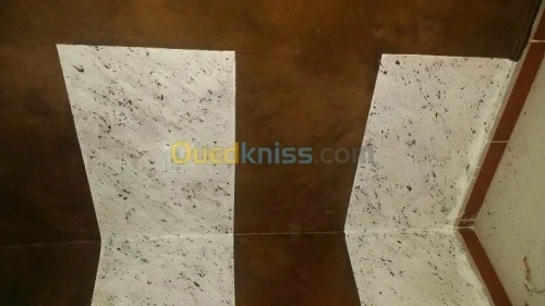 Peintre professionnel