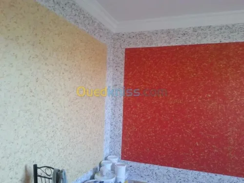 Peintre professionnel