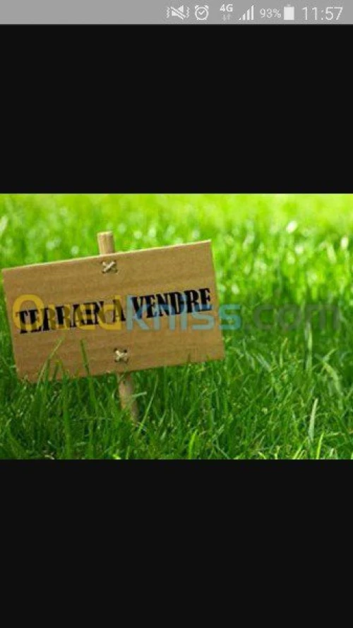 Vente Terrain Alger Ouled chebel