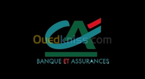 etude technico-economique et credit