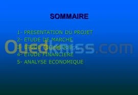 etude technico-economique et credit