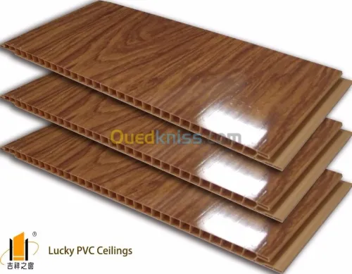 Plafond PVC et Placo platre 