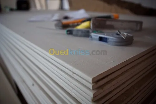 Plafond PVC et Placo platre 