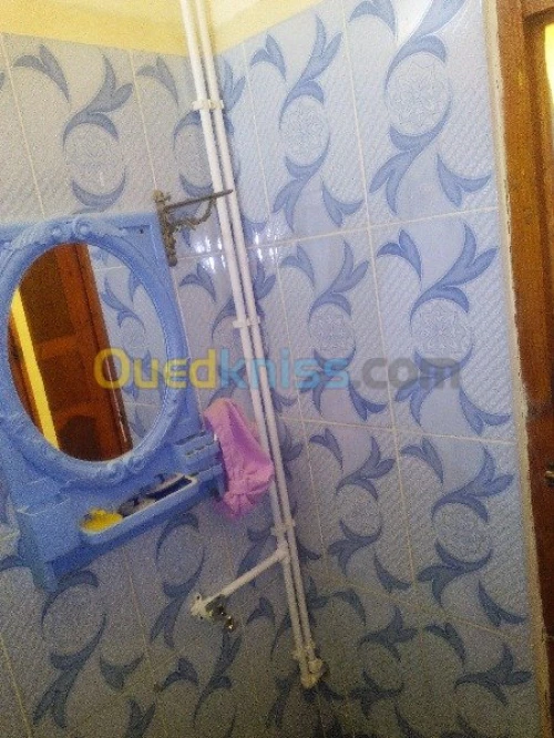 plombier general  ambulant