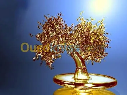 Organisation de marriage