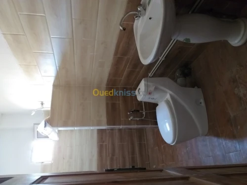Location Appartement Naama Mecheria