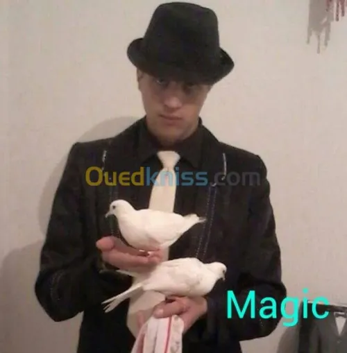 clown-magicien et animateur