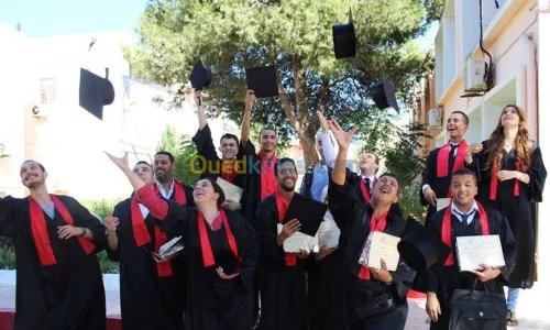 formation universitaire 