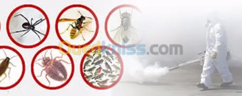 NETTOYAGE ET DESINFECTION  H 3D INDUST