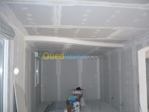 travaux BA13  faux-plafond 