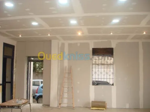 travaux BA13  faux-plafond 