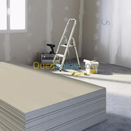 travaux BA13  faux-plafond 