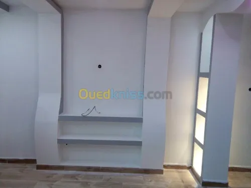 travaux BA13  faux-plafond 