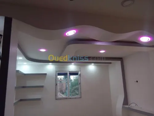 travaux BA13  faux-plafond 