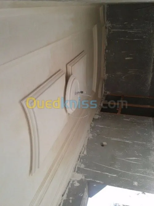 travaux BA13  faux-plafond 