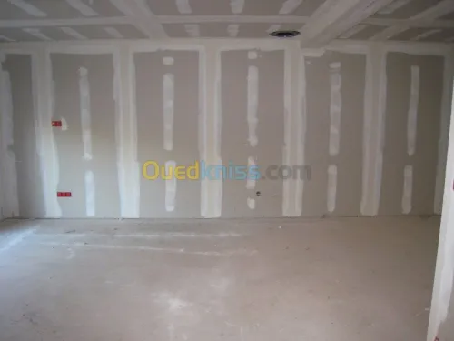 travaux BA13  faux-plafond 