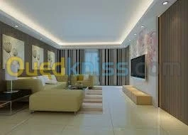 travaux BA13 camera interphon 