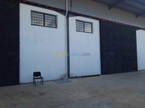 Location Hangar Alger Ouled fayet