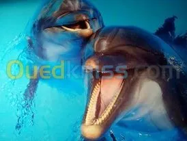 TOUTES LES INDUSTRIES 