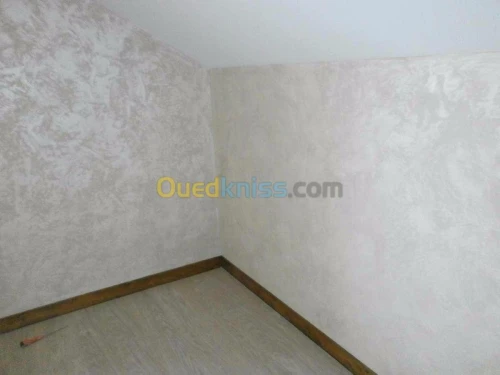 Peinture et revêtements muraux