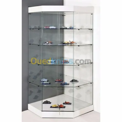 fourniture et pose Porte Verre trempé 