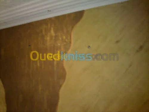 ديكورات ودهانات سورية Hk Decor 