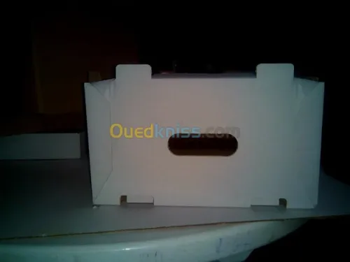 Emballage en Carton ondulé  