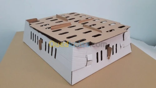 Emballage en Carton ondulé  