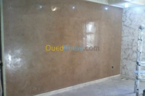 peintre intérieur extérieur le bâtimen