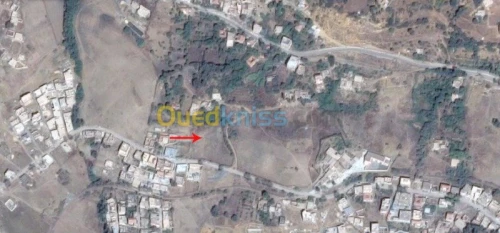 Vente Terrain Medea Medea