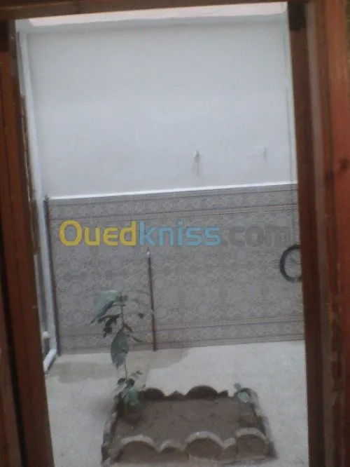 Vente Niveau De Villa F9 El bayadh El bayadh