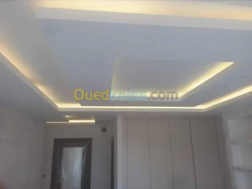 decoration placoplatre 