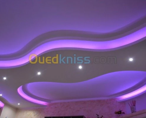 decoration placoplatre 