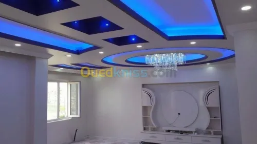 decoration placoplatre 