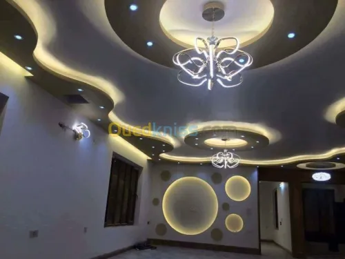 decoration placoplatre 