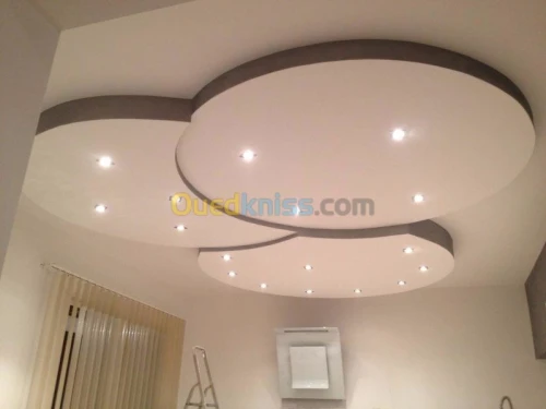 decoration placoplatre 