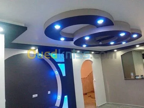 decoration placoplatre 