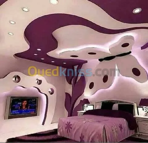 decoration placoplatre 