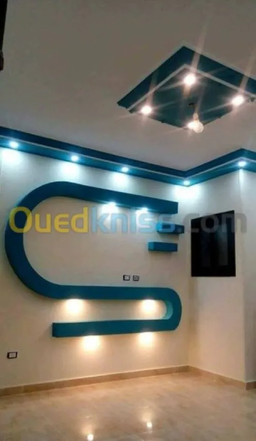 decoration placoplatre 