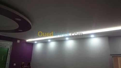 alico-bonde et placo platr