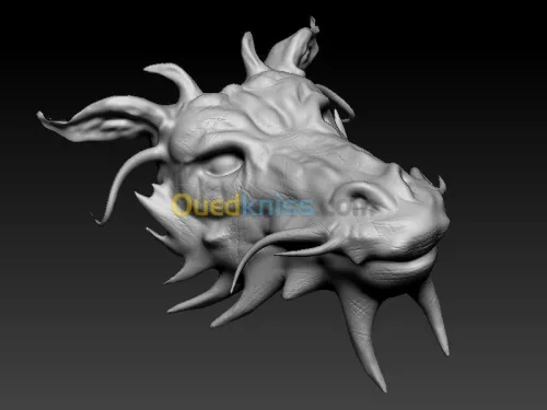 Infographie Conception design 3D / 2D