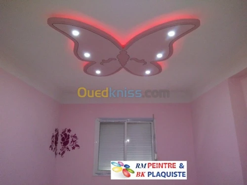 travaux Placoplatre et peinture