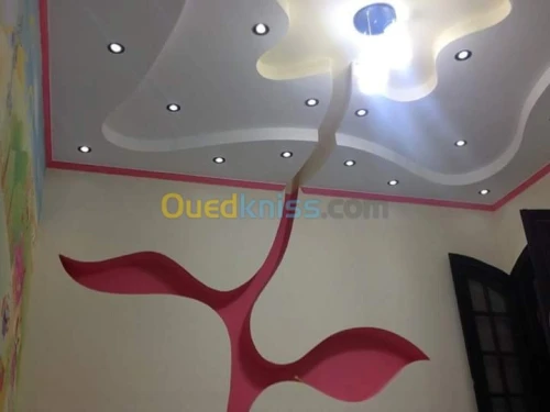 Placoplatre faux plafond BA13 et PVC